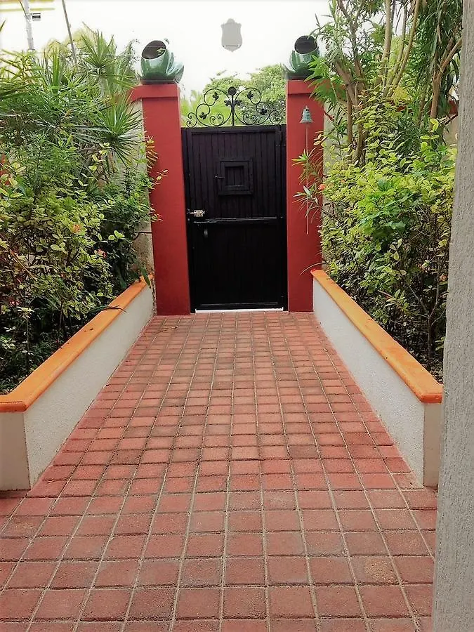 Apartmán Hotel Casa De Las Ranas Puerto Morelos Mexiko