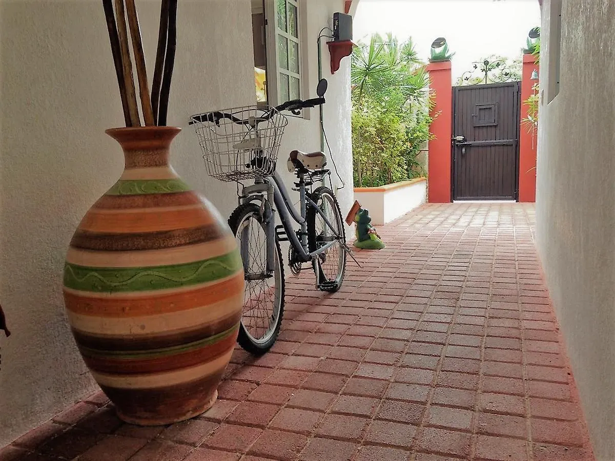 Hotel Casa De Las Ranas Puerto Morelos Mexiko